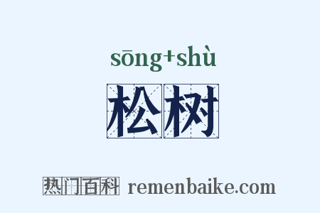 松树是什么意思的图片